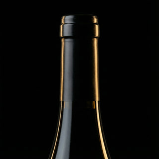 Contintilla Joven 2023